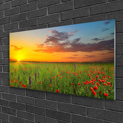 Glasbild aus Plexiglas® Sonne Wiese Blumen Natur