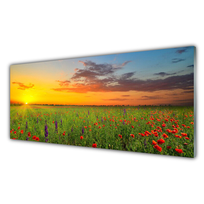 Glasbild aus Plexiglas® Sonne Wiese Blumen Natur