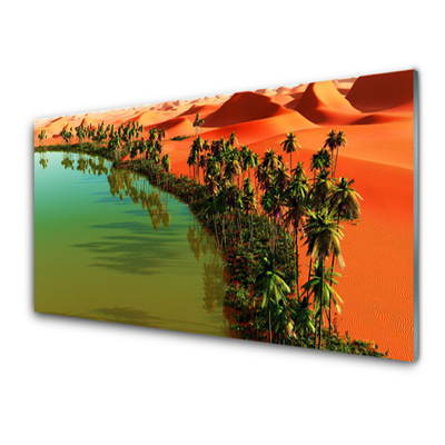 Glasbild aus Plexiglas® Bucht Bäume Wüste Landschaft