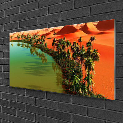 Glasbild aus Plexiglas® Bucht Bäume Wüste Landschaft