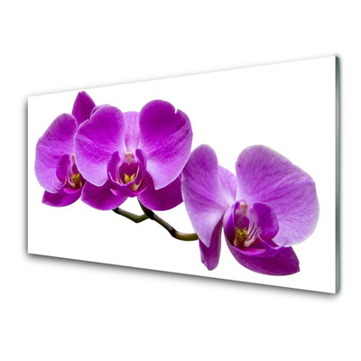 Glasbild aus Plexiglas® Blumen Pflanzen