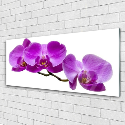 Glasbild aus Plexiglas® Blumen Pflanzen