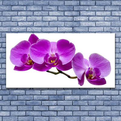 Glasbild aus Plexiglas® Blumen Pflanzen