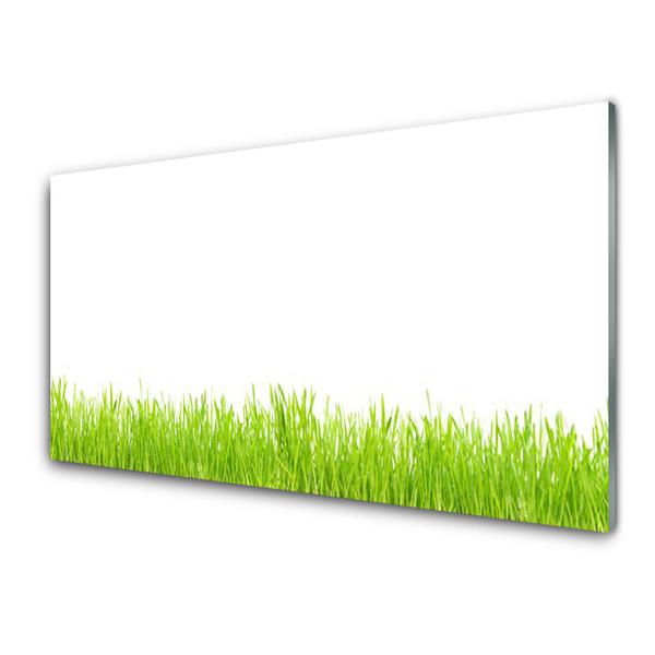 Glasbild aus Plexiglas® Gras Natur