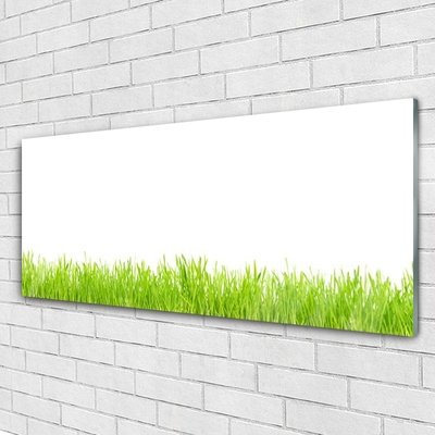 Glasbild aus Plexiglas® Gras Natur