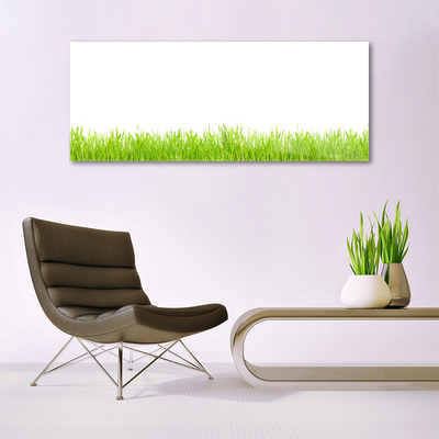 Glasbild aus Plexiglas® Gras Natur