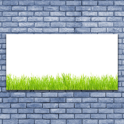 Glasbild aus Plexiglas® Gras Natur