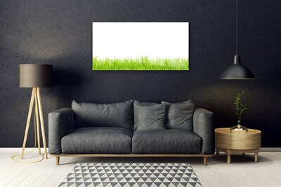 Glasbild aus Plexiglas® Gras Natur