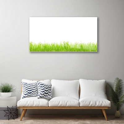 Glasbild aus Plexiglas® Gras Natur