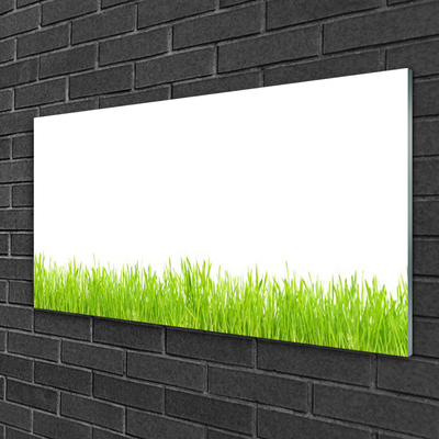 Glasbild aus Plexiglas® Gras Natur