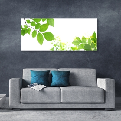 Glasbild aus Plexiglas® Blumen Blätter Pflanzen