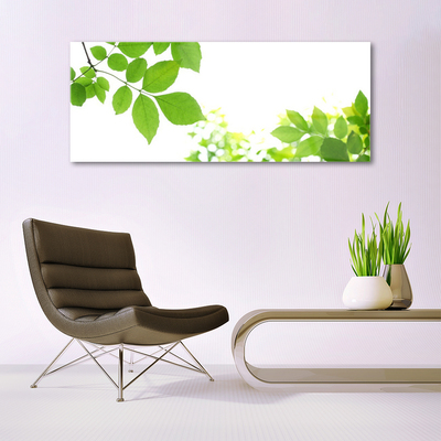 Glasbild aus Plexiglas® Blumen Blätter Pflanzen