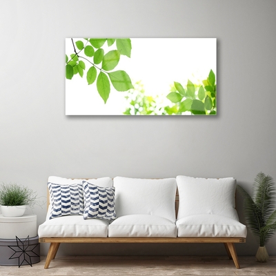 Glasbild aus Plexiglas® Blumen Blätter Pflanzen