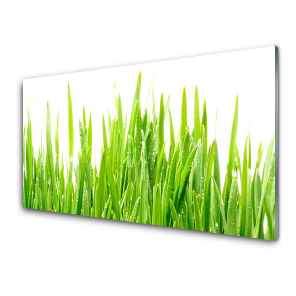 Glasbild aus Plexiglas® Gras Natur