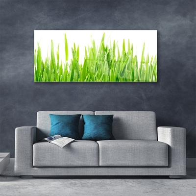 Glasbild aus Plexiglas® Gras Natur