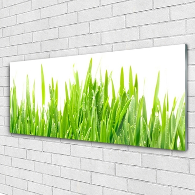 Glasbild aus Plexiglas® Gras Natur