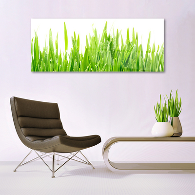 Glasbild aus Plexiglas® Gras Natur