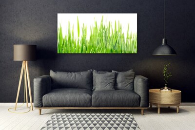 Glasbild aus Plexiglas® Gras Natur