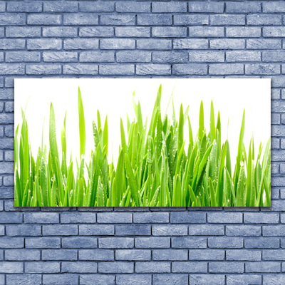 Glasbild aus Plexiglas® Gras Natur