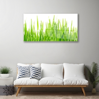 Glasbild aus Plexiglas® Gras Natur