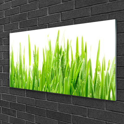 Glasbild aus Plexiglas® Gras Natur