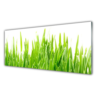 Glasbild aus Plexiglas® Gras Natur