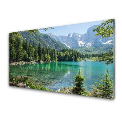 Glasbild aus Plexiglas® Gebirge See Wald Natur