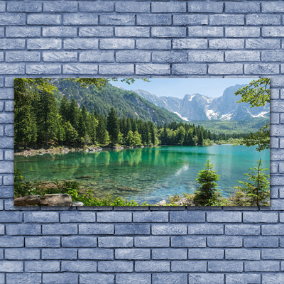 Glasbild aus Plexiglas® Gebirge See Wald Natur