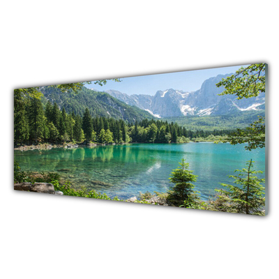 Glasbild aus Plexiglas® Gebirge See Wald Natur