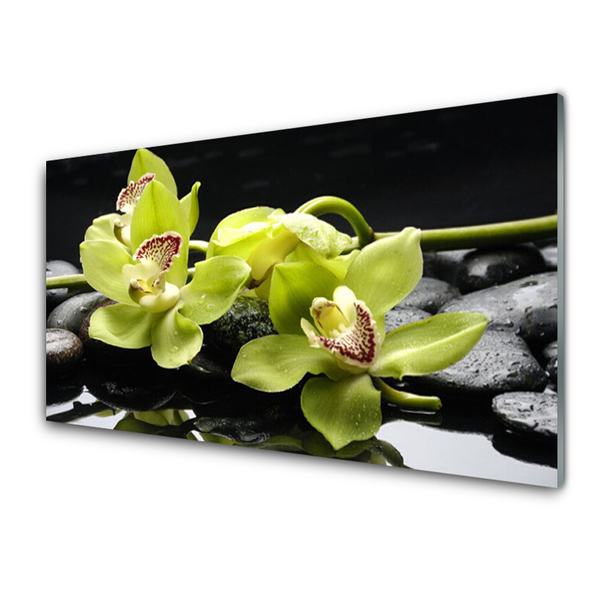 Glasbild aus Plexiglas® Blumen Steine Pflanzen