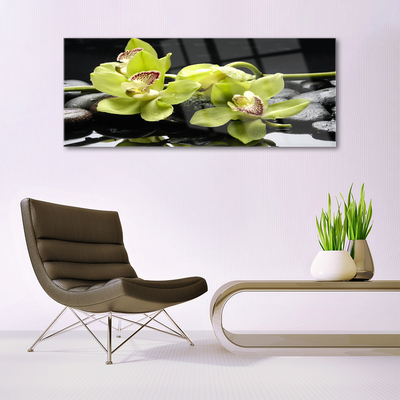 Glasbild aus Plexiglas® Blumen Steine Pflanzen