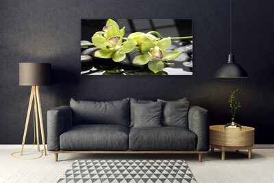 Glasbild aus Plexiglas® Blumen Steine Pflanzen