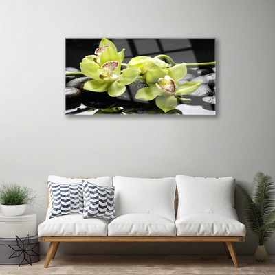 Glasbild aus Plexiglas® Blumen Steine Pflanzen