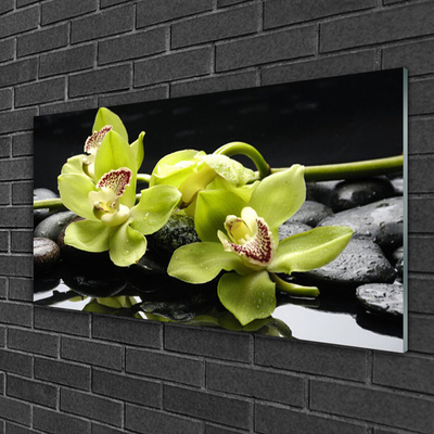 Glasbild aus Plexiglas® Blumen Steine Pflanzen