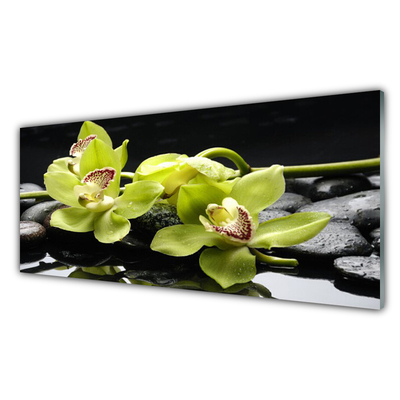 Glasbild aus Plexiglas® Blumen Steine Pflanzen