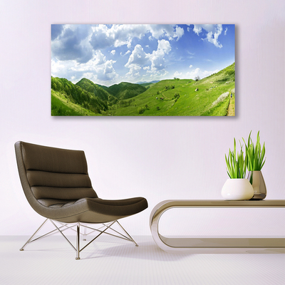 Glasbild aus Plexiglas® Gebirge Wiese Natur