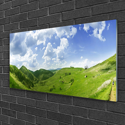 Glasbild aus Plexiglas® Gebirge Wiese Natur