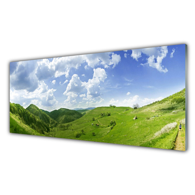 Glasbild aus Plexiglas® Gebirge Wiese Natur