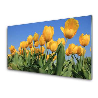 Glasbild aus Plexiglas® Tulpen Pflanzen