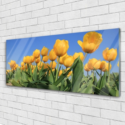 Glasbild aus Plexiglas® Tulpen Pflanzen