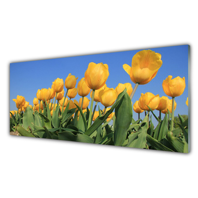 Glasbild aus Plexiglas® Tulpen Pflanzen