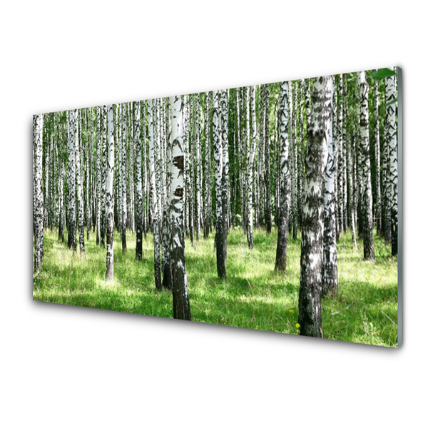 Glasbild aus Plexiglas® Wald Natur