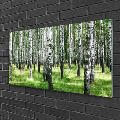 Glasbild aus Plexiglas® Wald Natur