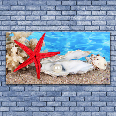 Glasbild aus Plexiglas® Seestern Muscheln Natur