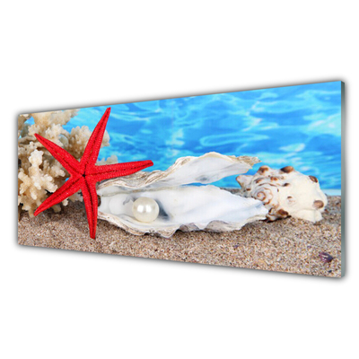 Glasbild aus Plexiglas® Seestern Muscheln Natur