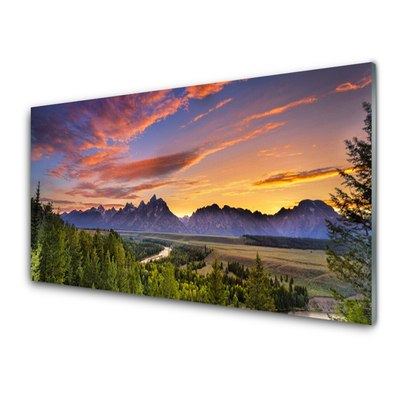 Glasbild aus Plexiglas® Gebirge Wald Natur