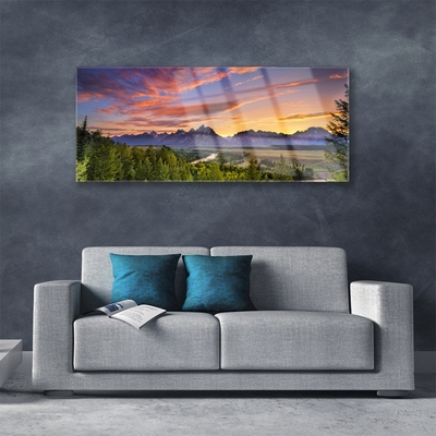 Glasbild aus Plexiglas® Gebirge Wald Natur