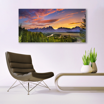 Glasbild aus Plexiglas® Gebirge Wald Natur