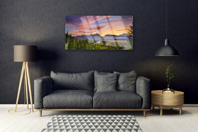 Glasbild aus Plexiglas® Gebirge Wald Natur