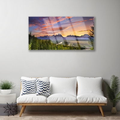 Glasbild aus Plexiglas® Gebirge Wald Natur